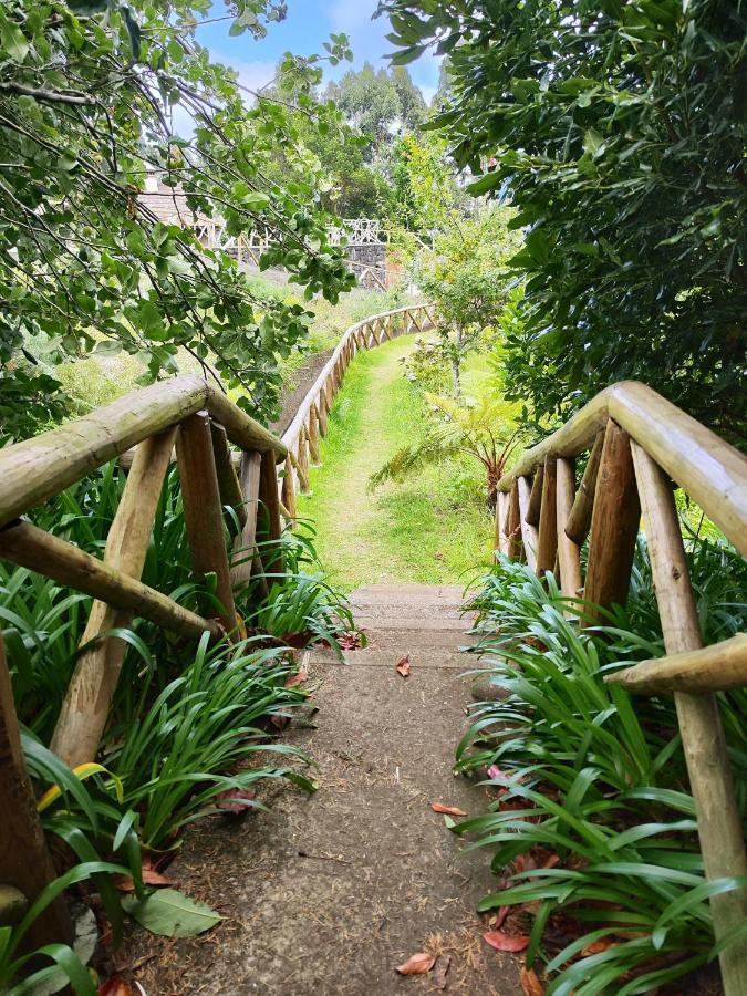 Quinta' Home Ribeira da Janela ภายนอก รูปภาพ